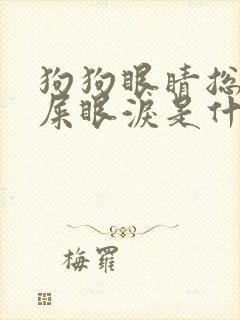 狗狗眼睛总有眼屎眼泪是什么原因
