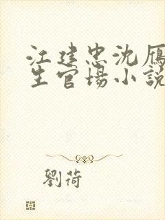 江建忠沈雁冰重生官场小说