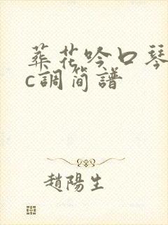 葬花吟口琴独奏c调简谱