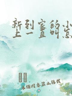 新到家的小狗晚上一直叫怎么办