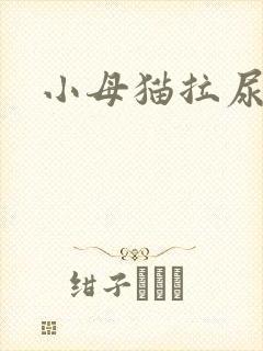 小母猫拉尿有血