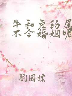 牛和兔的属相合不合婚姻呢