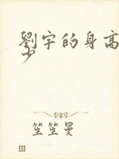 刘宇的身高是多少