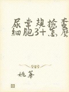 尿常规检查尿白细胞3+怎么回事