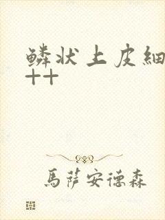 鳞状上皮细胞+++