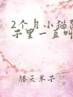 2个月小猫关笼子里一直叫