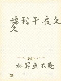 福利午夜久久久久