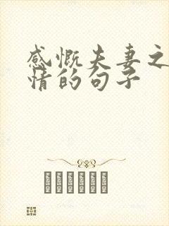 感慨夫妻之间感情的句子