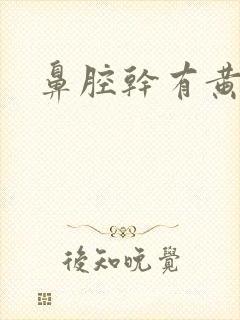 鼻腔干有黄鼻涕