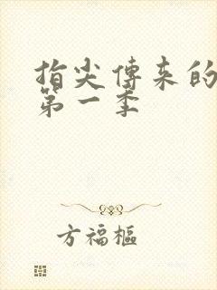 指尖传来的热情第一季