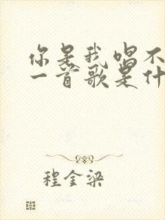 你是我唱不完的一首歌是什么歌名