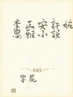 李正安许婉卿宋思雅小说