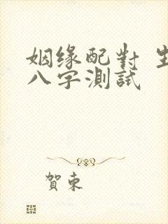 姻缘配对 生辰八字测试