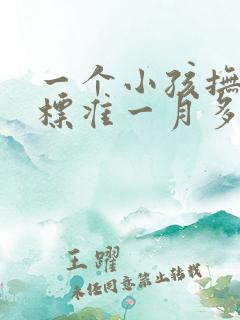 一个小孩抚养费标准一月多少钱