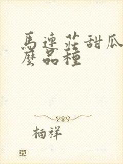 马连庄甜瓜是什么品种