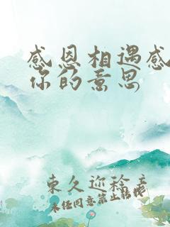 感恩相遇感谢有你的意思