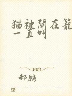 猫被关在笼子里一直叫