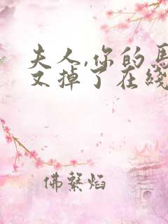 夫人,你的马甲又掉了在线阅读