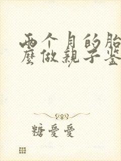 两个月的胎儿怎么做亲子鉴定