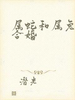 属蛇和属兔合不合婚