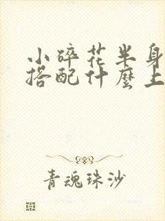 小碎花半身长裙搭配什么上衣好看