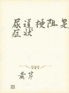 尿道梗阻是什么症状