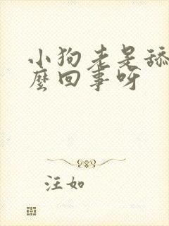 小狗老是舔人怎么回事呀