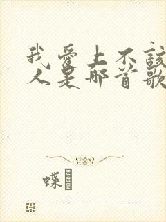 我爱上不该爱的人是哪首歌的歌词