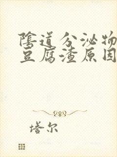 阴道分泌物黄色豆腐渣原因