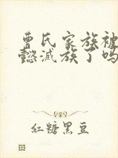 曹氏家族被司马懿灭族了吗