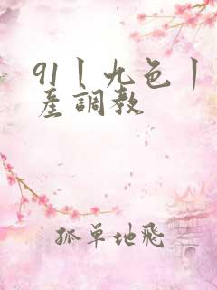 91丨九色丨国产调教