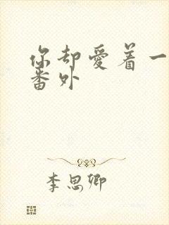 你却爱着一个他番外