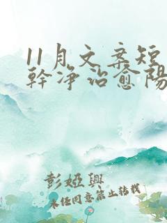 11月文案短句干净治愈阳光