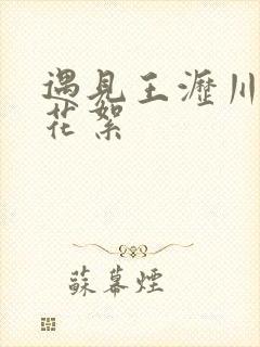 遇见王沥川未播花絮