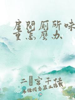 房间厕所味特别重怎么办