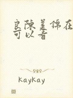 良陈美锦在哪里可以看