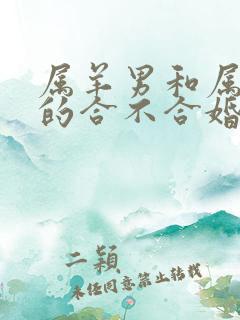 属羊男和属牛女的合不合婚