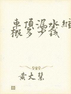 车顶漏水维修大概多少钱