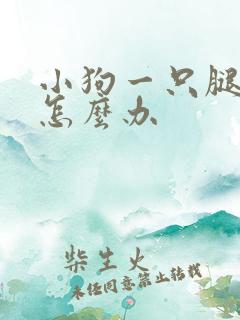 小狗一只腿瘸了怎么办