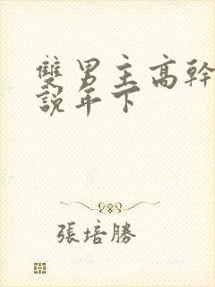 双男主高干文小说年下