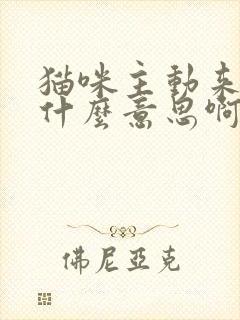 猫咪主动来家里什么意思啊