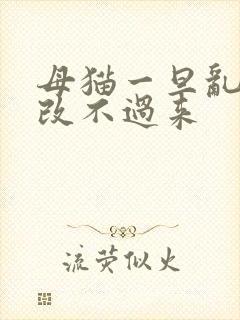 母猫一旦乱尿就改不过来