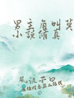 男主角叫莫问的小说修真