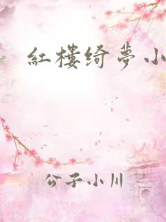 红楼绮梦小说