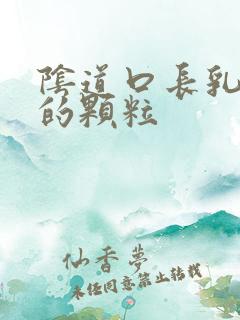 阴道口长乳白色的颗粒