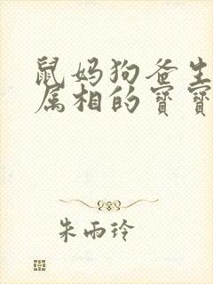 鼠妈狗爸生什么属相的宝宝好