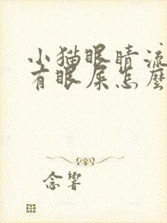 小猫眼睛流眼泪有眼屎怎么回事