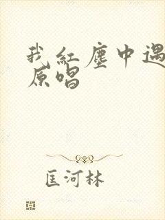 我红尘中遇见你原唱