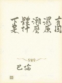 下体潮湿有异味是什么原因