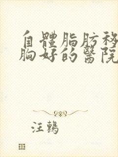 自体脂肪移植丰胸好的医院